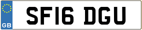 Trailer License Plate